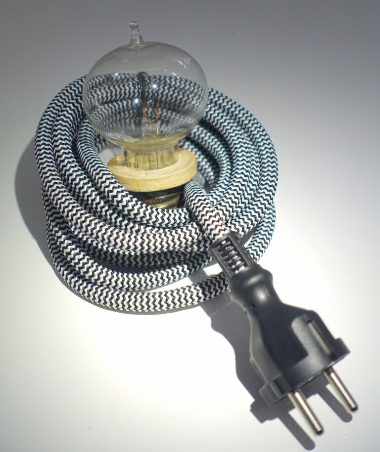 An Edison incandescent electric lamp manufactured in 1881 with carbon filament visible