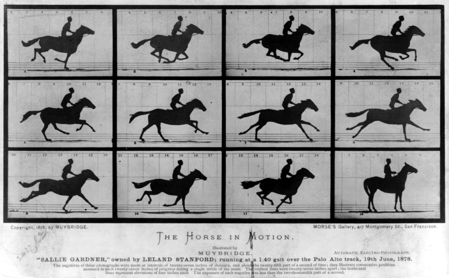 Eadweard Muybridge’s twelve photographs of the racehorse Sallie Gardner in motion in 1878